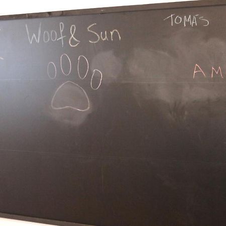 Woof & Sun Βίλα Esmoriz Εξωτερικό φωτογραφία
